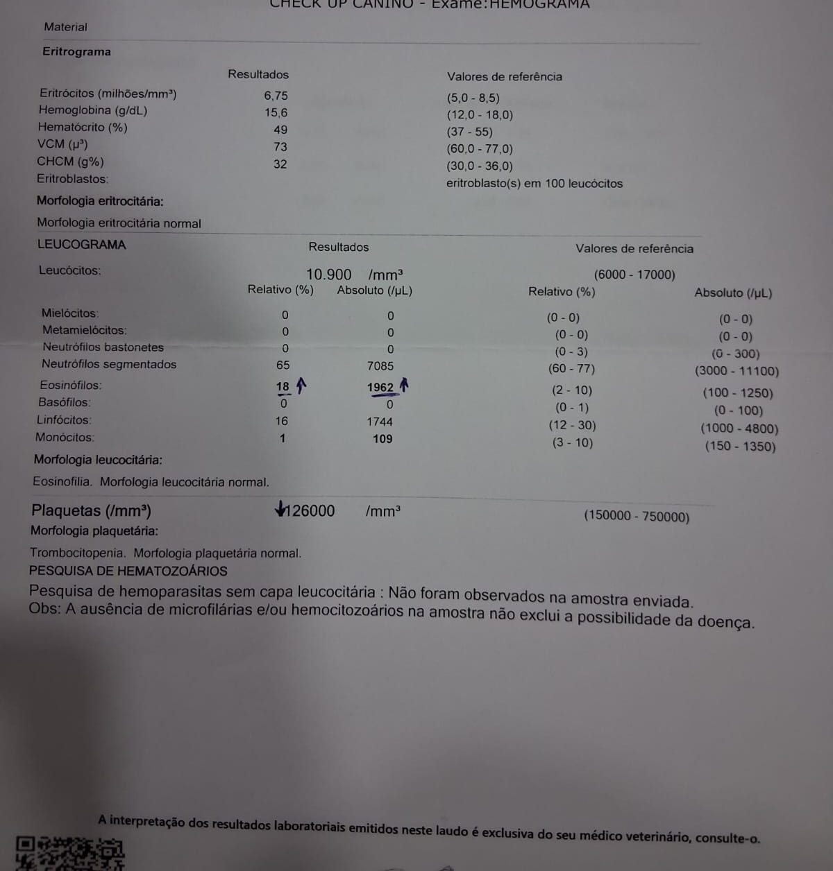 Hemograma anexado ao caso (exame real anonimizado)